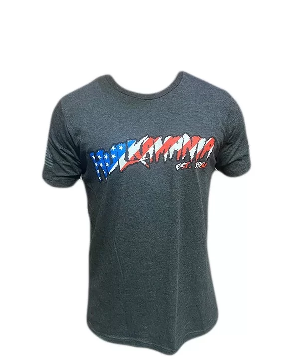 Gray Hulkamania Flag Tee $8.20 Apparel