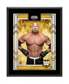 Goldberg 10.5" x 13" Sublimated Plaque $10.56 Collectibles