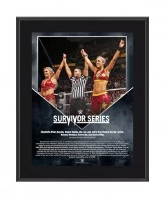 Bayley & Charlotte Flair 10.5" x 13" 2016 Survivor Series Sublimated Plaque $11.28 Collectibles