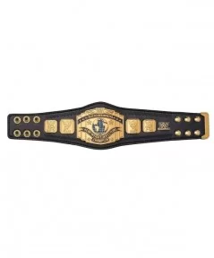 WWE Intercontinental Championship Classic Mini Replica Title Belt $14.50 Collectibles