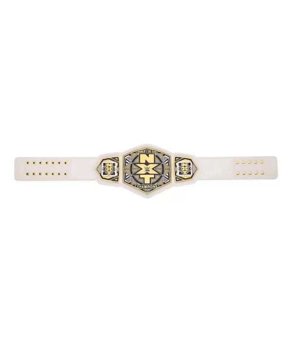 NXT Women's Tag Team Championship Replica Title Belt $90.72 Title Belts