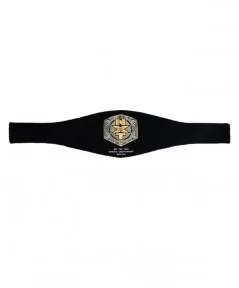 NXT Women's Tag Team Championship Replica Title Belt $90.72 Title Belts