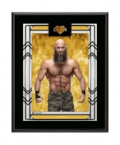 Ciampa 10.5" x 13" Sublimated Plaque $10.08 Home & Office