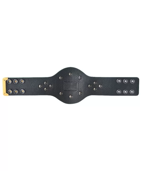 WWE 24/7 Championship Mini Replica Title Belt $14.50 Title Belts