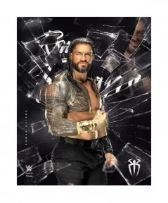 Roman Reigns Unsigned 16" x 20" Shattered Photograph $8.00 Collectibles