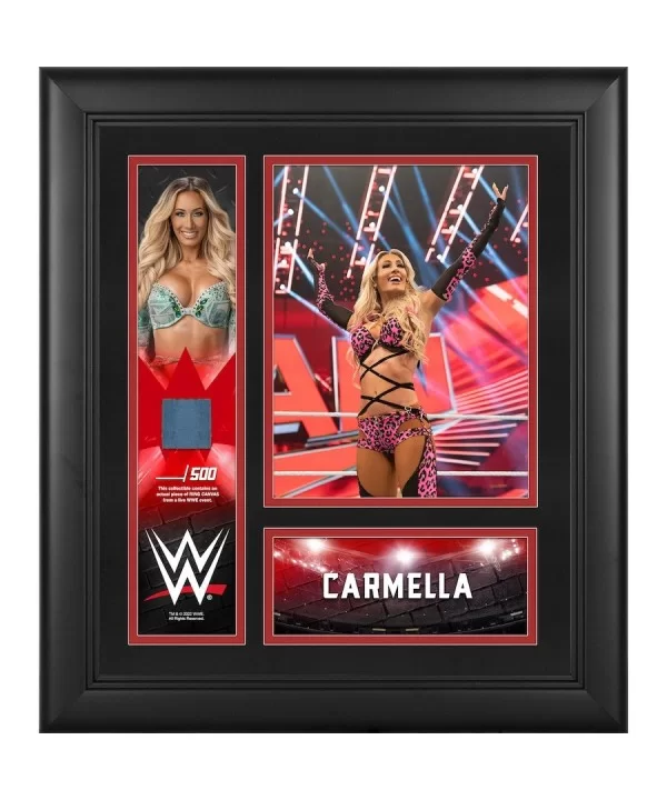 Carmella Framed 15" x 17" Collage with a Piece of Match-Used Canvas - Limited Edition of 500 $19.04 Home & Office