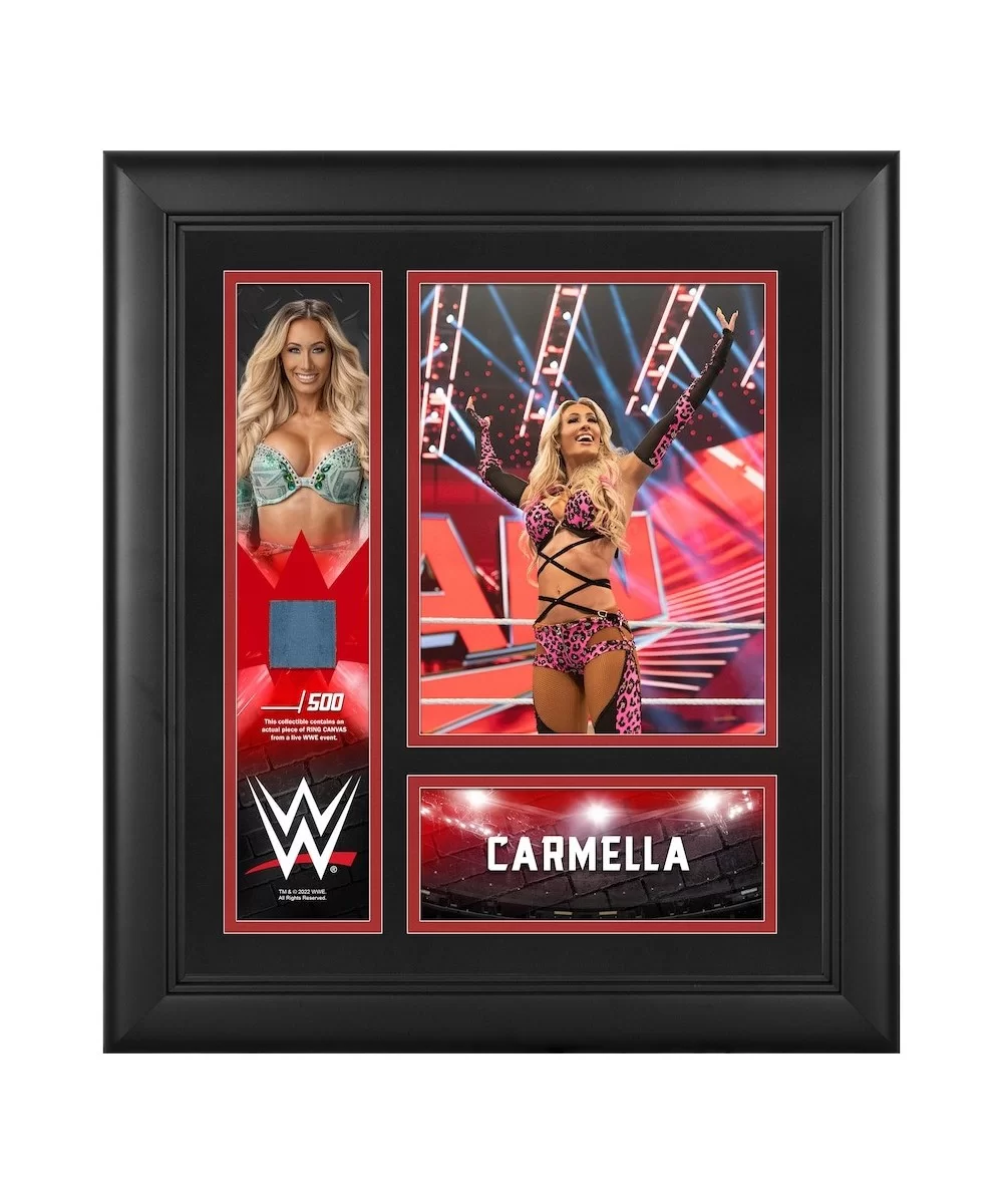 Carmella Framed 15" x 17" Collage with a Piece of Match-Used Canvas - Limited Edition of 500 $19.04 Home & Office