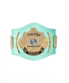 Blue WWE Winged Eagle Championship Mini Replica Title Belt $13.32 Title Belts