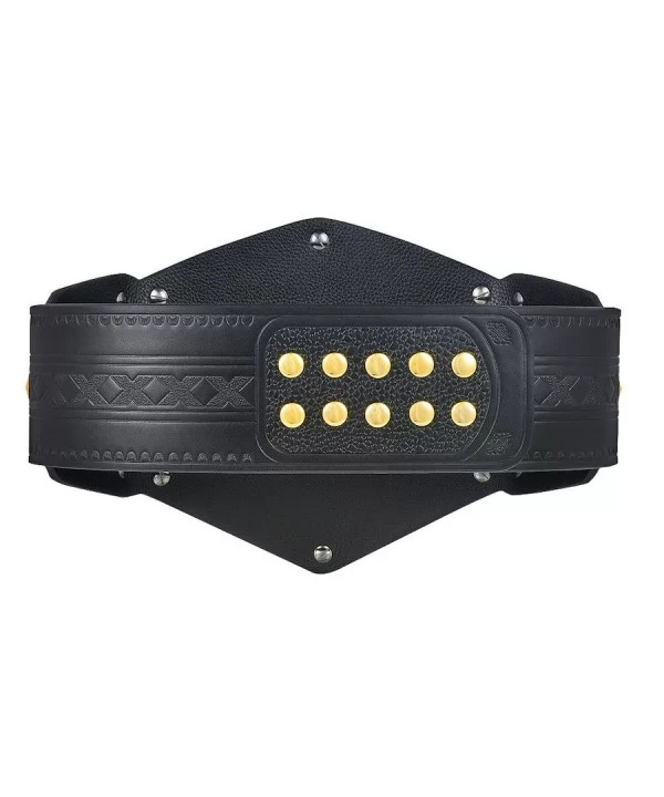 NXT Tag Team Championship Replica Title Belt $89.60 Title Belts