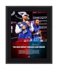 The Usos 10.5" x 13" 2017 Survivor Series Sublimated Plaque $8.40 Home & Office