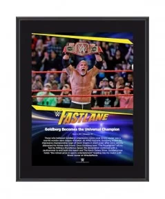 Goldberg 10.5" x 13" 2017 Fastlane Sublimated Plaque $9.84 Home & Office