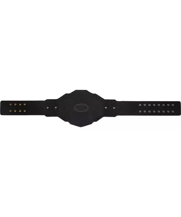 NXT 2.0 Women's Championship Replica Title Belt $147.92 Title Belts