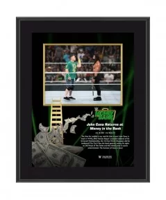 John Cena & Roman Reigns Framed 10.5" x 13" 2021 Money In The Bank Sublimated Plaque $9.84 Collectibles