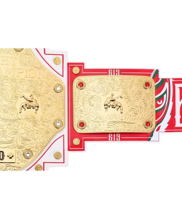 Rey Mysterio 20th Anniversary Signature Series Championship Replica Title Belt $132.00 Title Belts