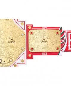 Rey Mysterio 20th Anniversary Signature Series Championship Replica Title Belt $132.00 Title Belts