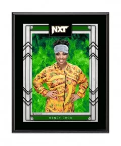 Wendy Choo 10.5" x 13" NXT 2.0 Sublimated Plaque $8.16 Collectibles