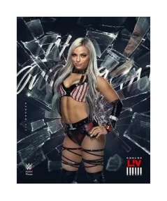 Liv Morgan Unsigned 16" x 20" Shattered Photograph $10.00 Home & Office