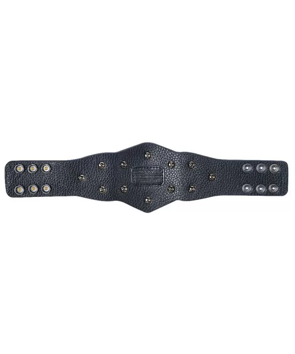 NXT Tag Team Championship Mini Replica Title Belt $13.72 Collectibles