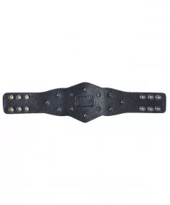 NXT Tag Team Championship Mini Replica Title Belt $13.72 Collectibles