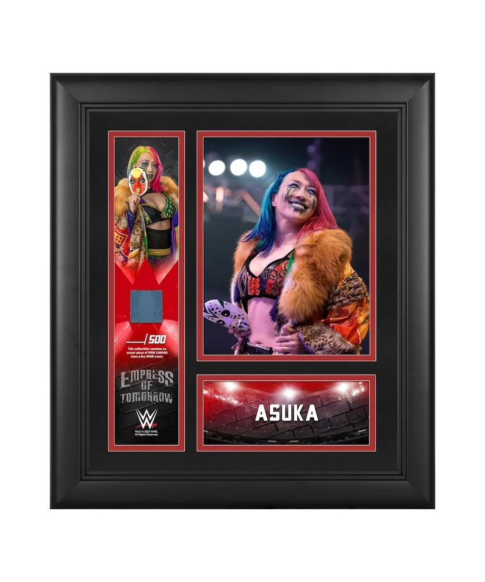 Asuka Framed 15" x 17" Collage with a Piece of Match-Used Canvas - Limited Edition of 500 $27.44 Collectibles