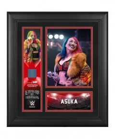 Asuka Framed 15" x 17" Collage with a Piece of Match-Used Canvas - Limited Edition of 500 $27.44 Collectibles