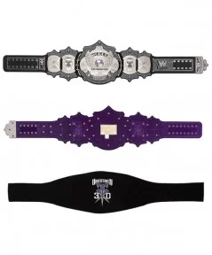 The Undertaker 30 Years Signature Series Championship Replica Title Belt $200.00 Title Belts