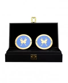 Nikki A.S.H. Women's Championship Replica Side Plate Box Set $24.44 Title Belts