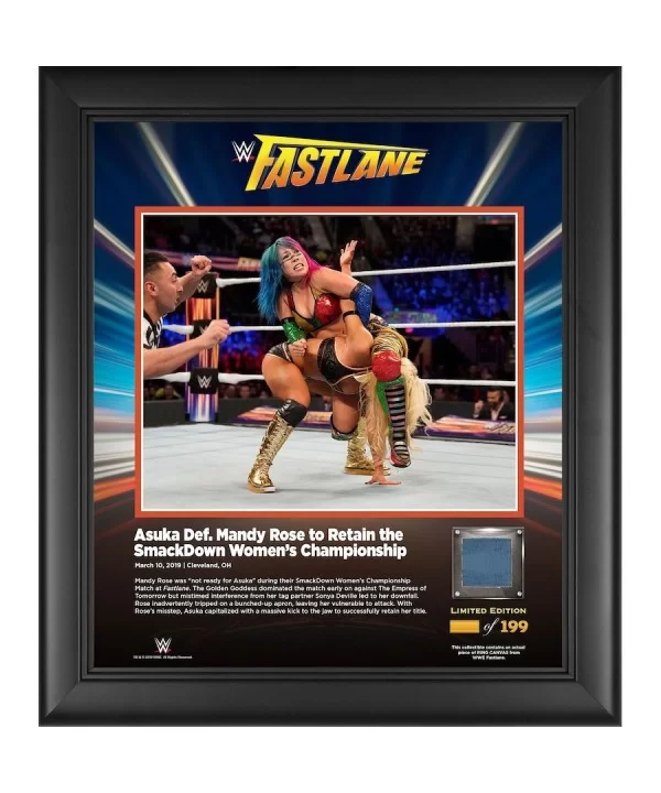 Asuka Framed 15" x 17" 2019 Fastlane Collage with a Piece of Match-Used Canvas - Limited Edition of 199 $25.76 Collectibles