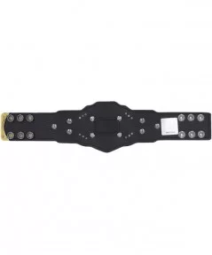 NXT Women's Championship Mini Replica Title Belt $11.76 Collectibles