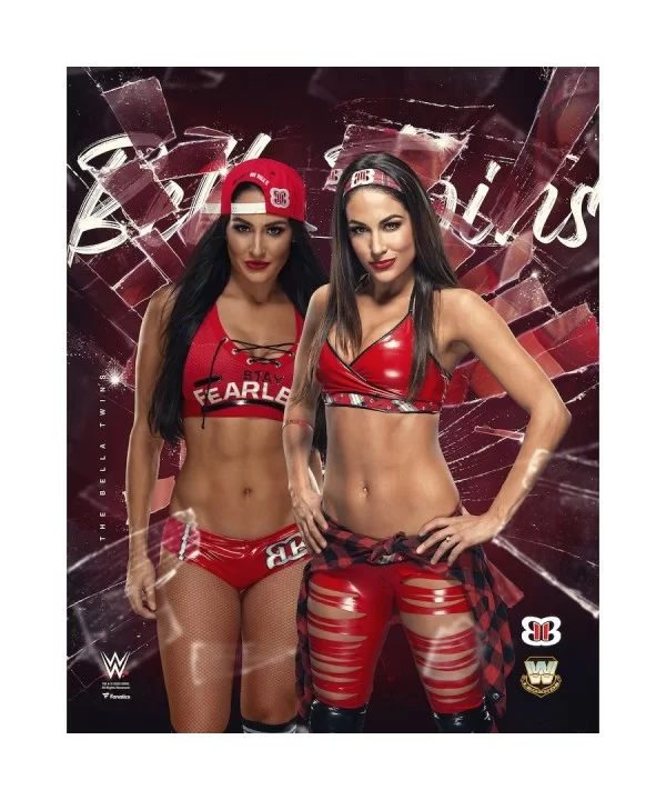 The Bella Twins Unsigned 16" x 20" Shattered Photograph $10.00 Home & Office