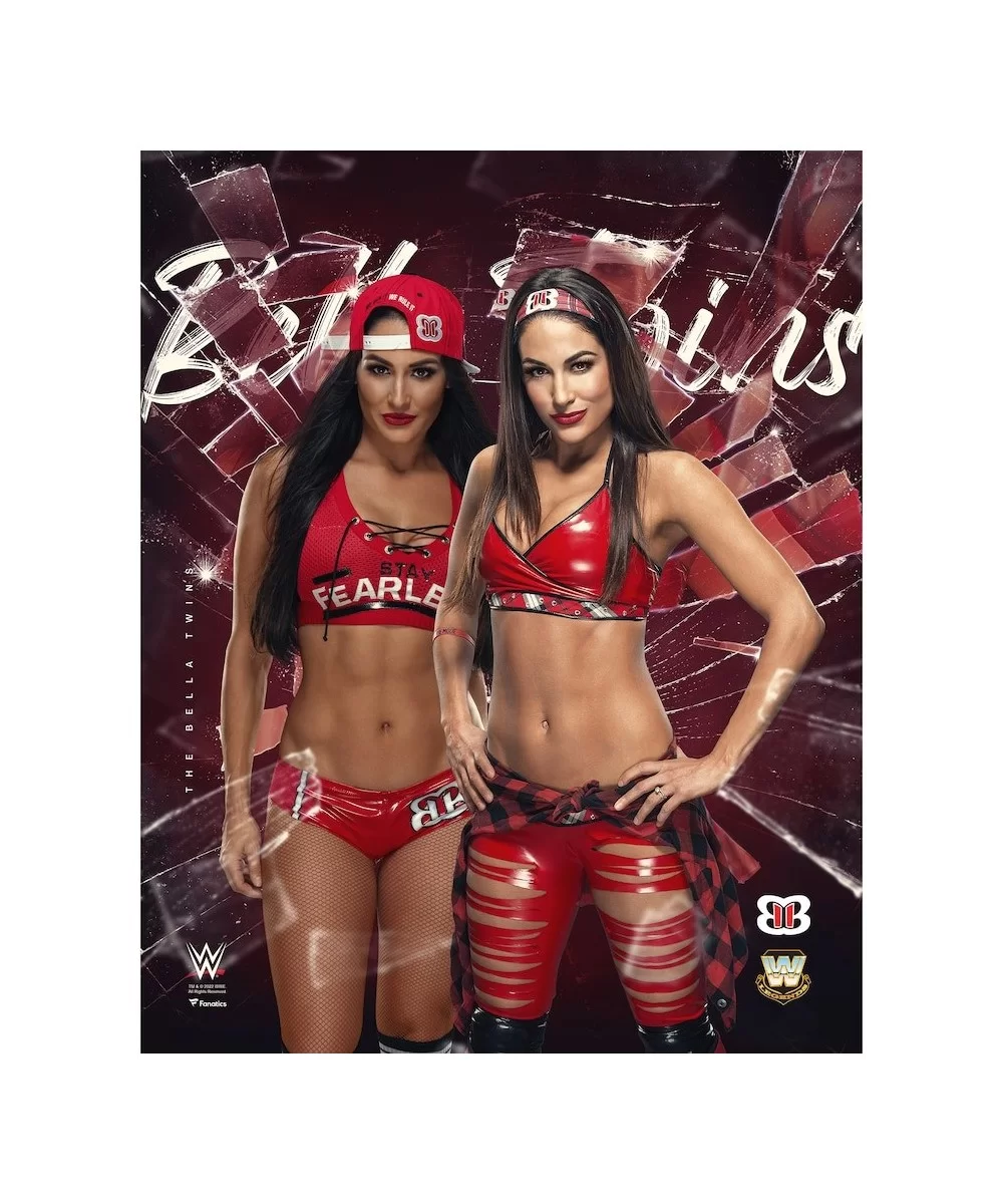 The Bella Twins Unsigned 16" x 20" Shattered Photograph $10.00 Home & Office