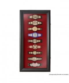 WWE Mini Replica Title Collector Case $42.00 Collectibles