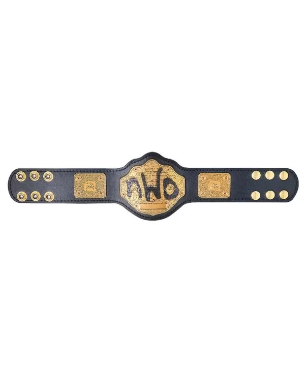 nWo Spray Paint WCW Championship Mini Replica Title Belt $17.36 Title Belts