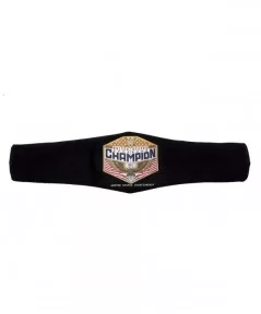 WWE United States Championship Mini Replica Title Belt $21.84 Collectibles