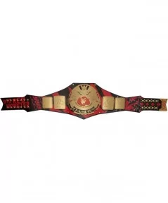 Kane Signature Series Championship Replica Title Belt $164.00 Title Belts