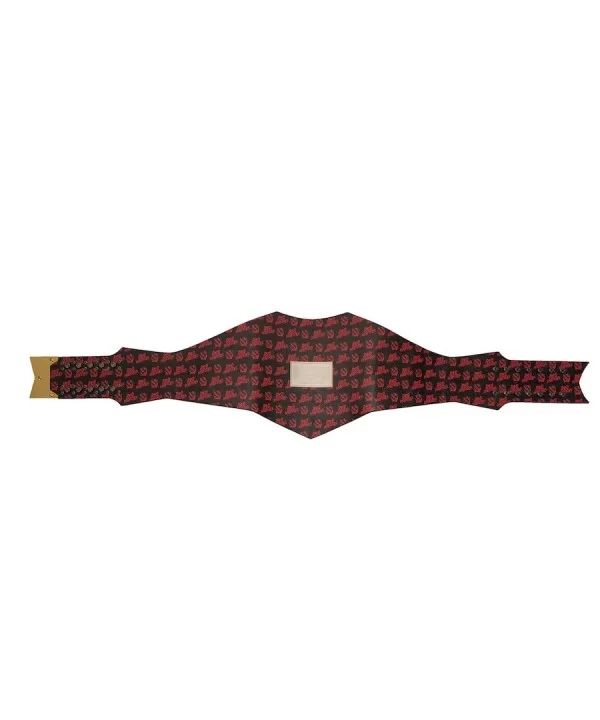 Kane Signature Series Championship Replica Title Belt $164.00 Title Belts