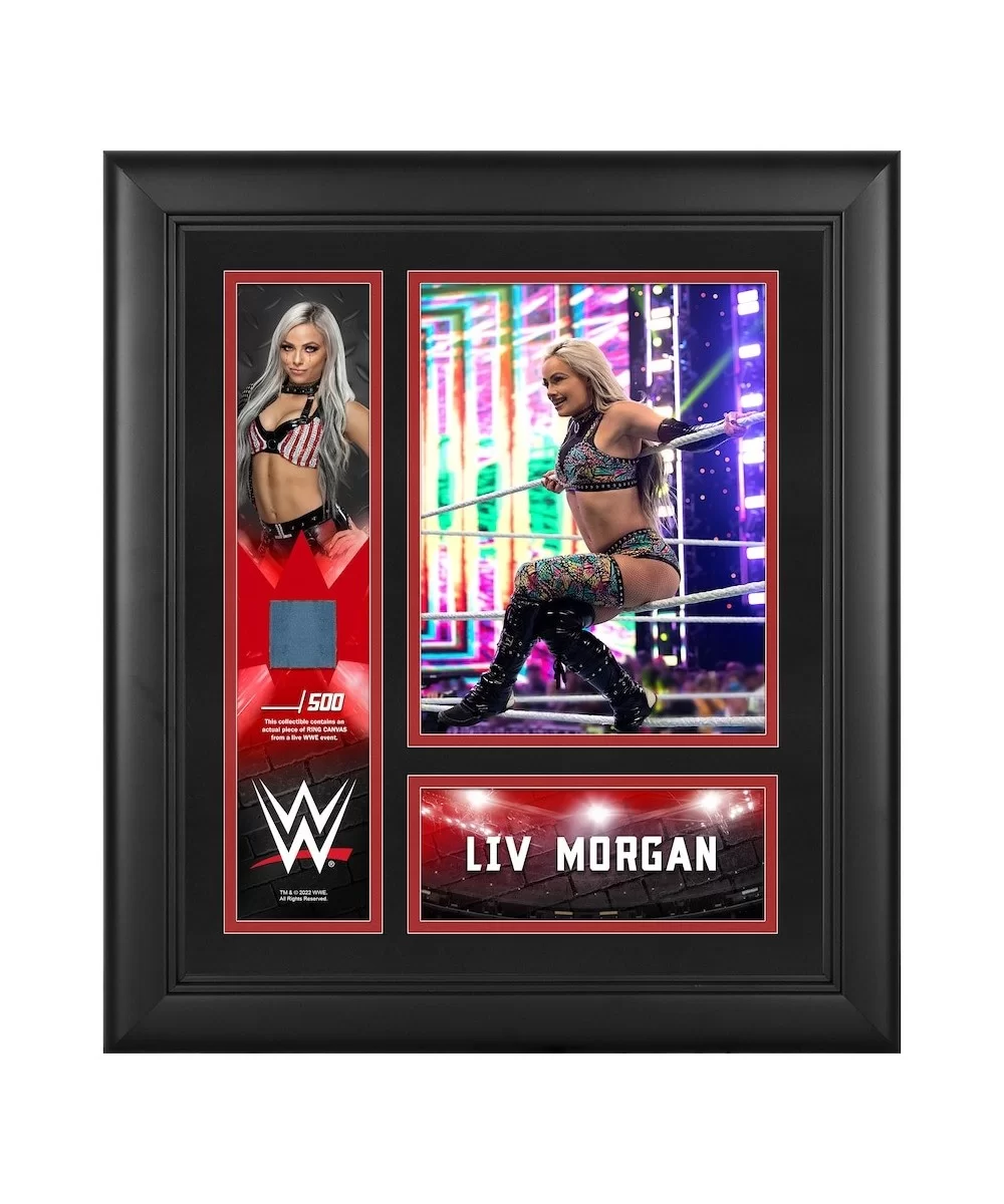 Liv Morgan Framed 15" x 17" Collage with a Piece of Match-Used Canvas - Limited Edition of 500 $16.80 Collectibles