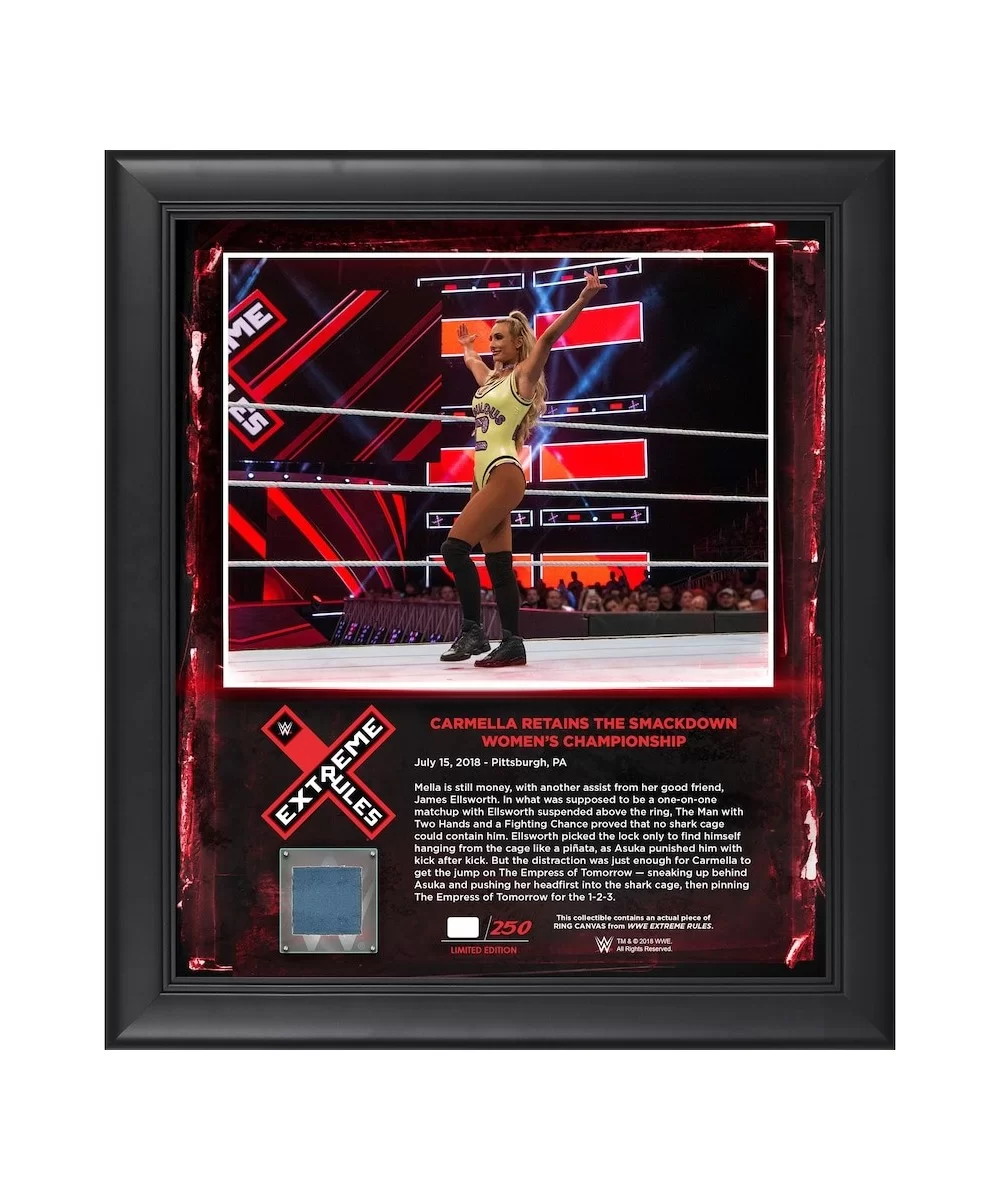 Carmella Framed 15" x 17" 2018 Extreme Rules Collage with a Piece of Match-Used Canvas - Limited Edition of 199 $28.00 Home &...