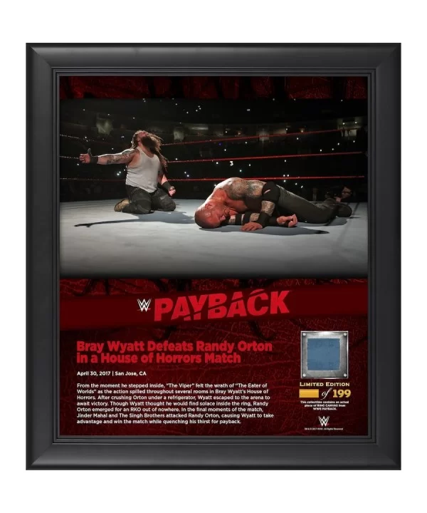 Bray Wyatt WWE 15" x 17" 2017 Payback Collage with a Piece of Match-Used Canvas - Limited Edition of 199 $21.28 Collectibles