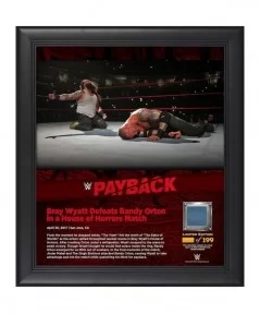 Bray Wyatt WWE 15" x 17" 2017 Payback Collage with a Piece of Match-Used Canvas - Limited Edition of 199 $21.28 Collectibles