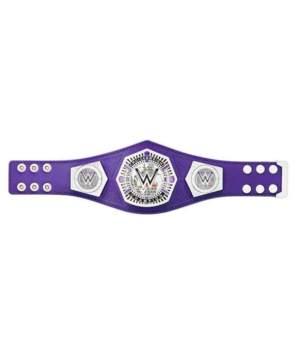 WWE Cruiserweight Championship Mini Replica Title Belt $18.03 Collectibles