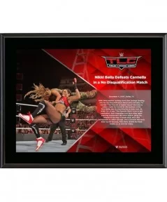 Nikki Bella Framed 10.5" x 13" 2016 TLC Sublimated Plaque $7.20 Collectibles