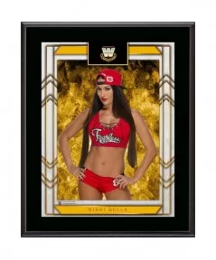 Nikki Bella 10.5" x 13" Sublimated Plaque $7.68 Collectibles