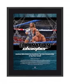 American Alpha 10.5" x 13" 2017 Elimination Chamber Sublimated Plaque $10.32 Collectibles