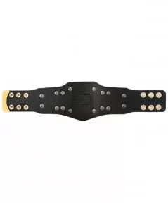 WWE Cruiserweight Championship Mini Replica Title Belt $18.42 Title Belts