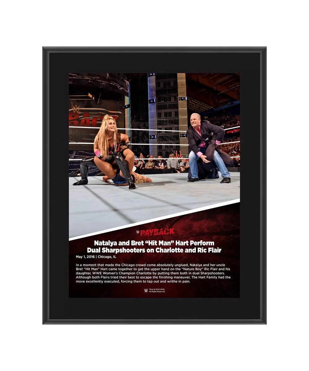 Natalya 10.5" x 13" 2016 Payback Sublimated Plaque $9.60 Home & Office